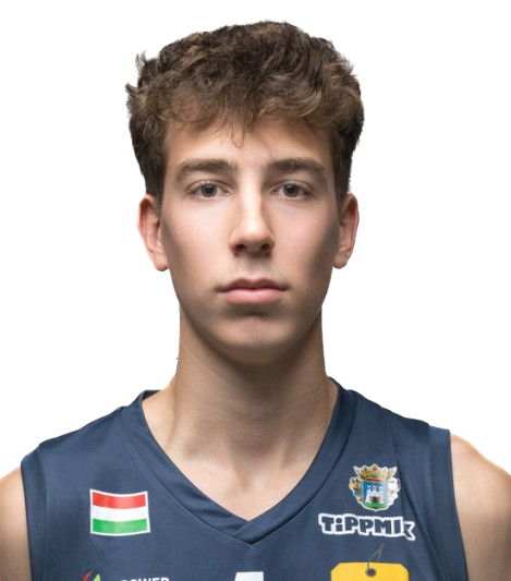 Párkányi Máté