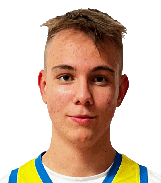 Wolf Dominik